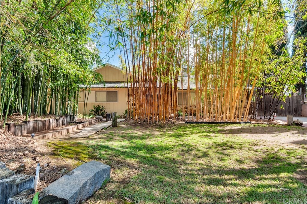 The sun glistens through the bamboo to reveal a sparkling jewel - 5325 Peacock Ln.