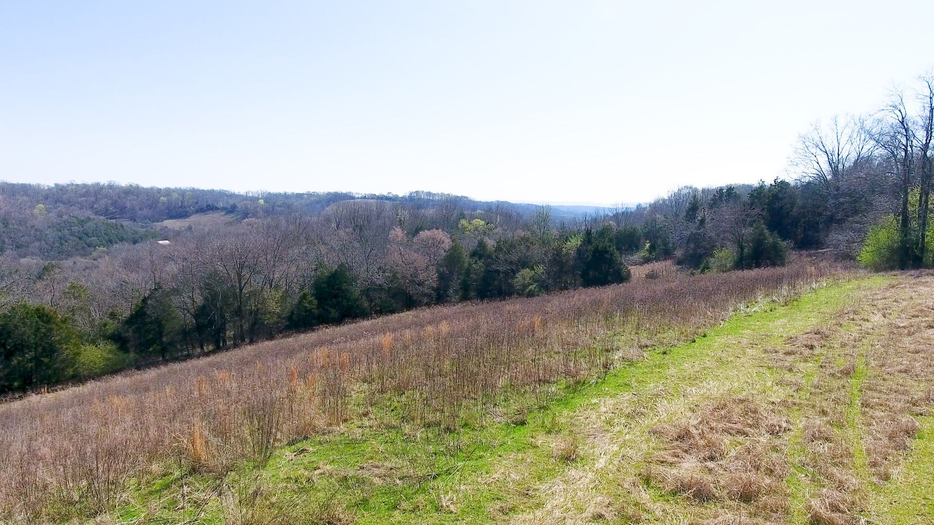 0 Wet Prong Road Mulberry, TN 37359 - Photo 20 of 30 a view of a backyard with green space