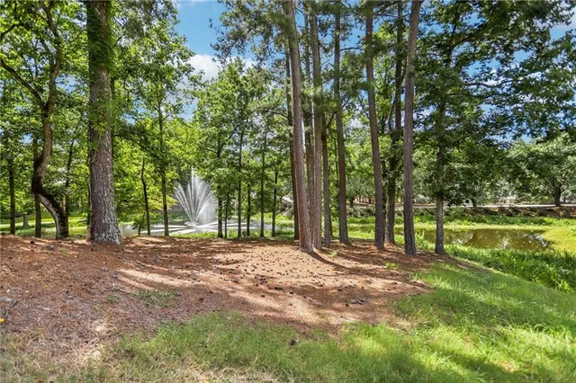 a view of a house with a yard and plants