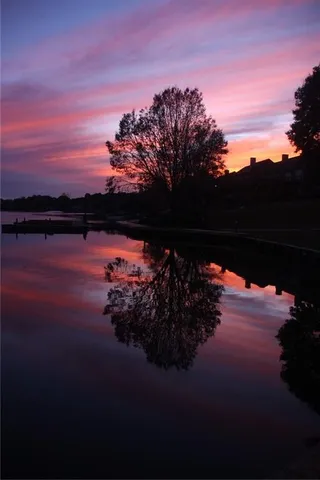 a bathroom with a granite countertop sink a toilet and a mirror