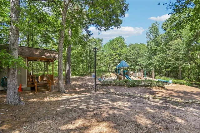 a view of a tree in the middle of a yard