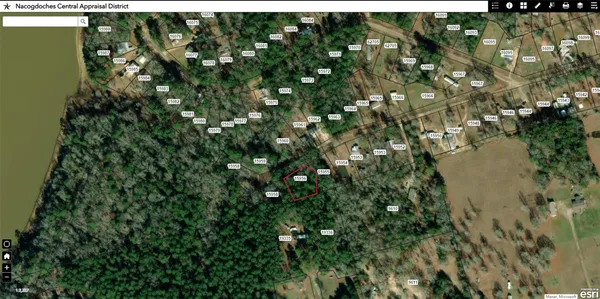 a view of a lake from a tree