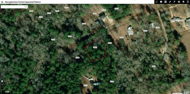 a view of a plant in a garden