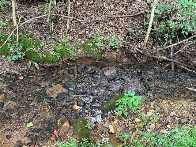 $174,900 | 584 Groves Road, Rutherfordton, NC 28139