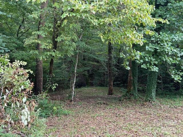 584 Groves Road Rutherfordton, NC 28139 - Photo 10 of 37