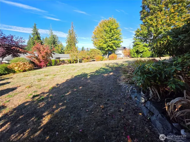 a view of a yard with plants and trees
