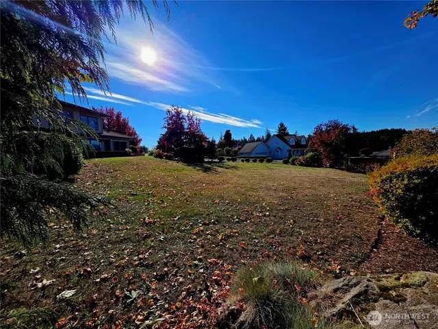 a view of a field with a tree