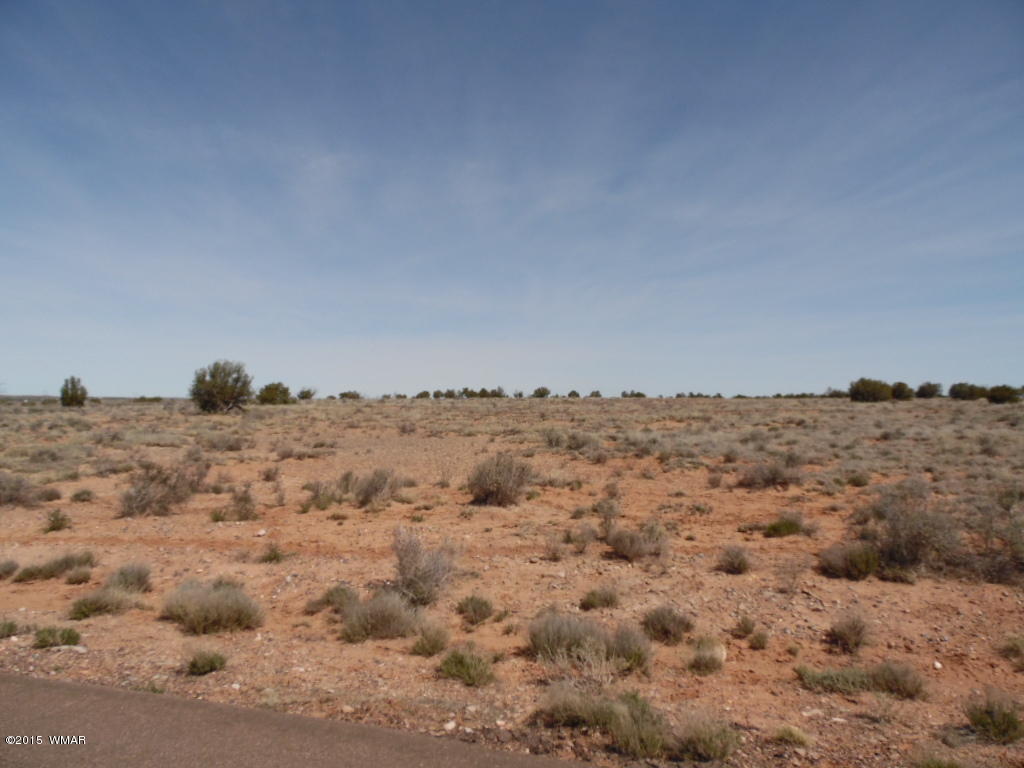 5061 East Indigio Road Snowflake, AZ 85937 - Photo 2 of 6 Gallery Image 2