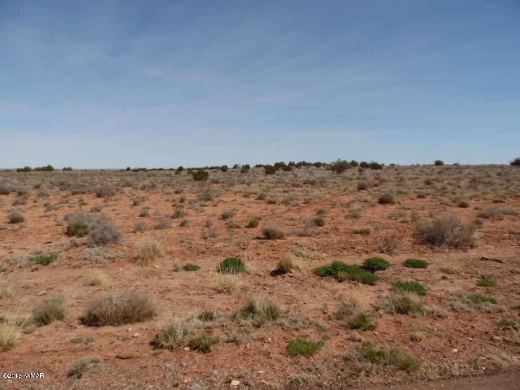 5061 East Indigio Road Snowflake, AZ 85937 - Photo 3 of 6 Gallery Image 3