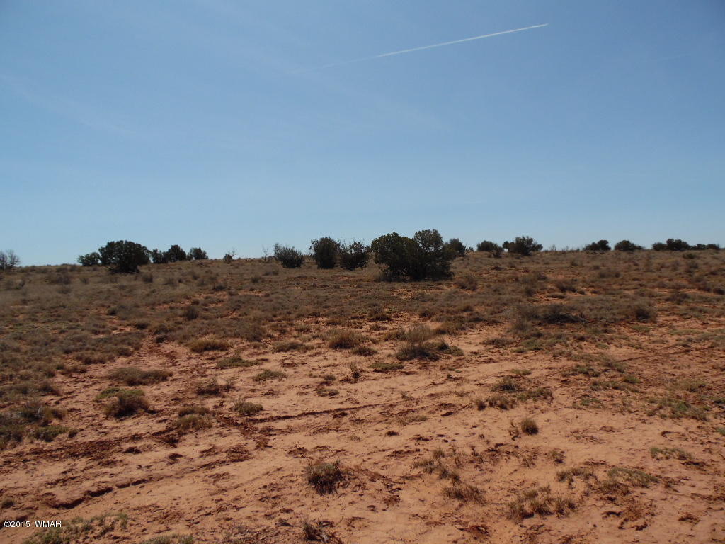 5061 East Indigio Road Snowflake, AZ 85937 - Photo 5 of 6 Gallery Image 5