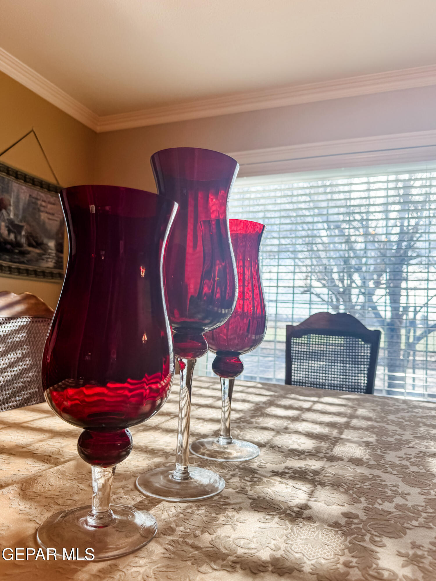 16100 Socorro Road Fabens, TX 79838 - Photo 12 of 42 IMG_2455