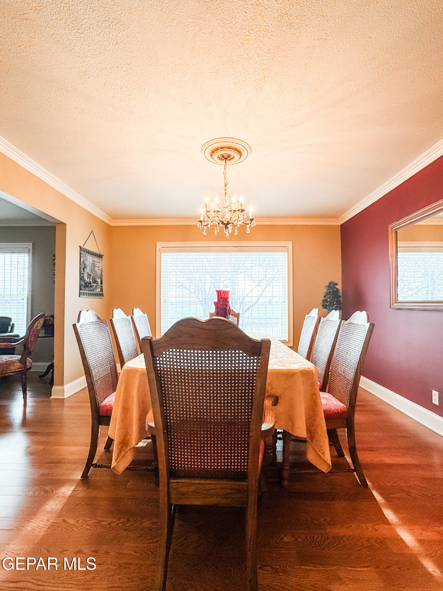 16100 Socorro Road Fabens, TX 79838 - Photo 14 of 42 IMG_2448