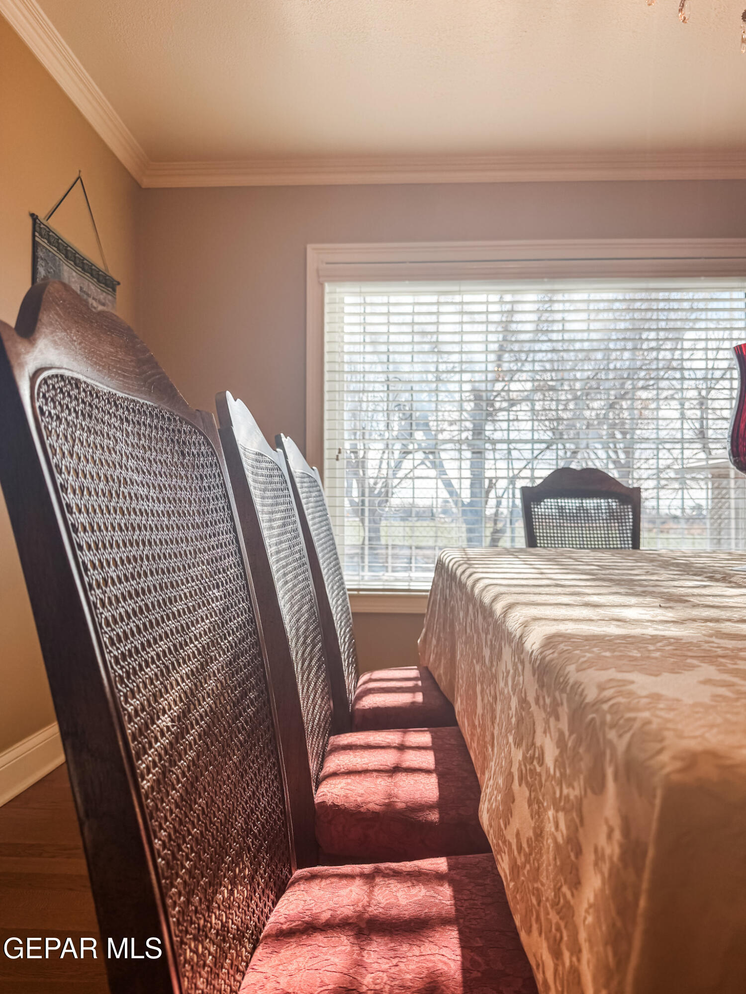 16100 Socorro Road Fabens, TX 79838 - Photo 10 of 42 IMG_2465