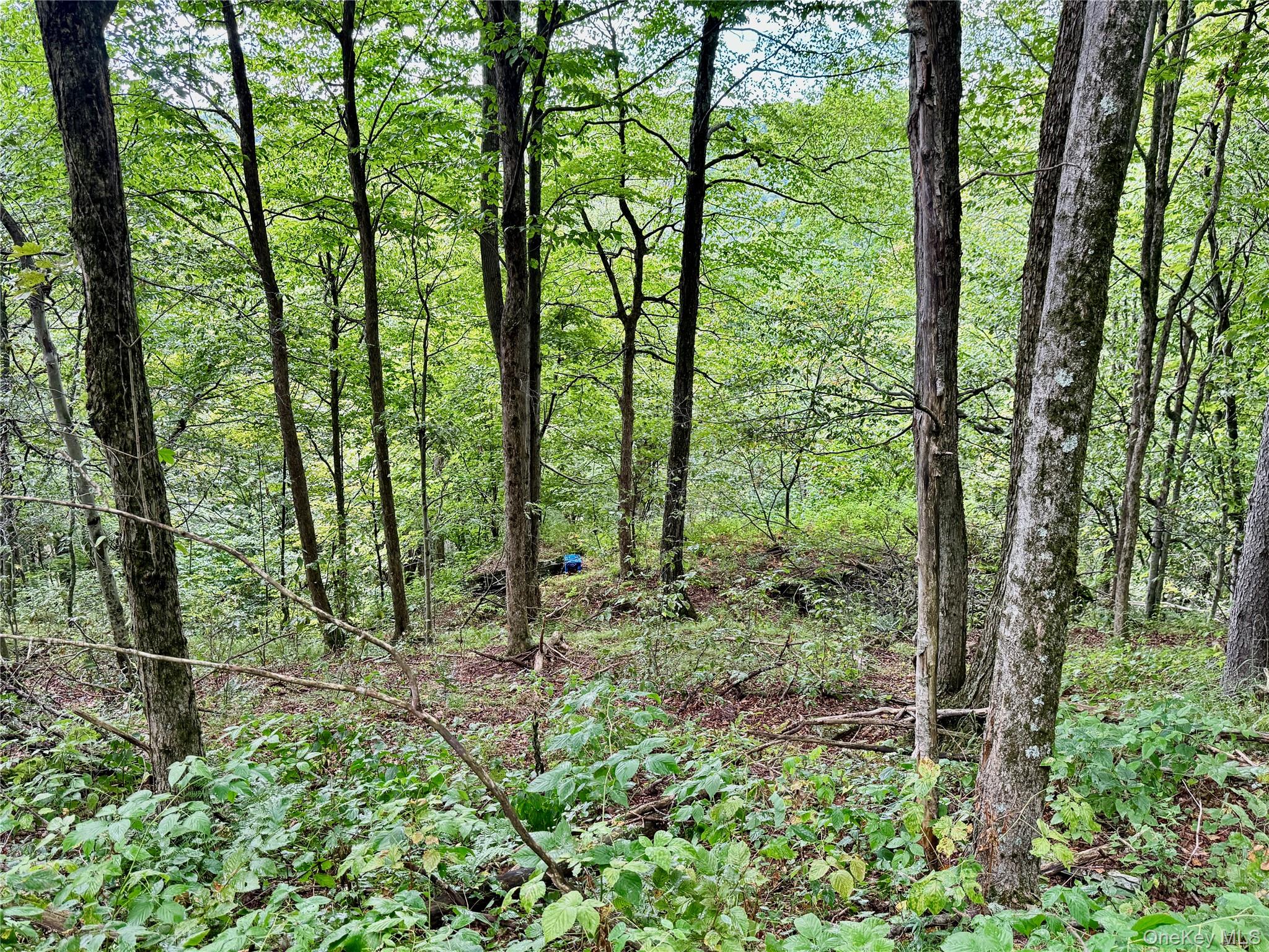 216 Neer Road Long Eddy, NY 12760 - Photo 29 of 48