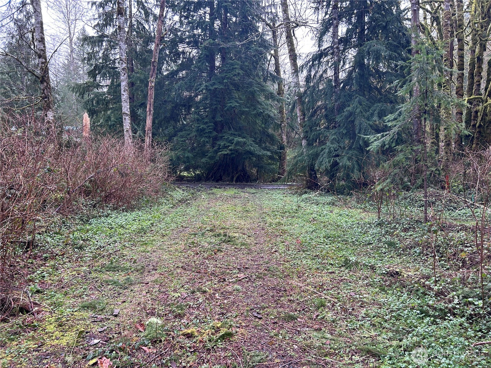 31930 Dotson Road Monroe, WA 98272 - Photo 11 of 17