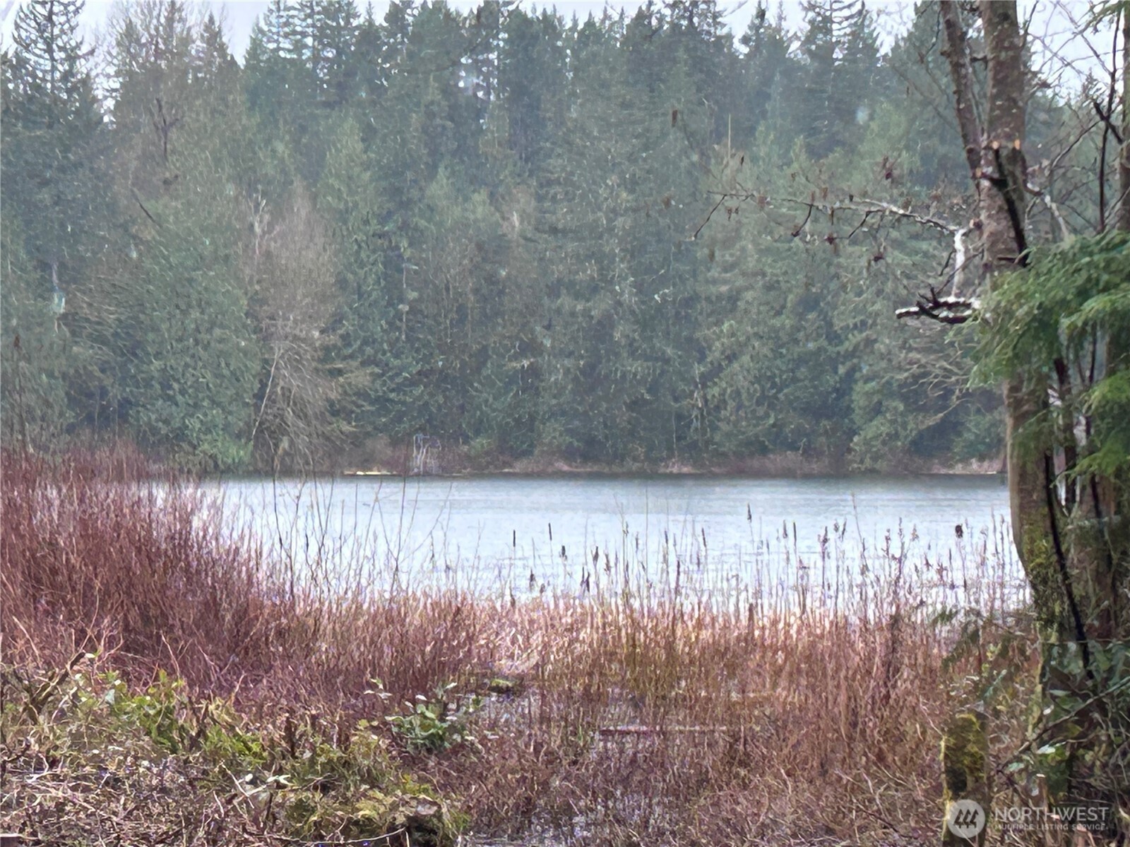 31930 Dotson Road Monroe, WA 98272 - Photo 6 of 17