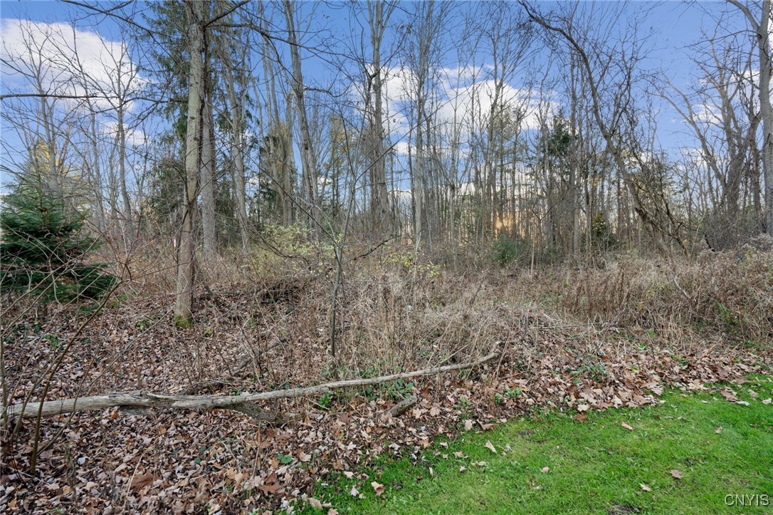 8173 60 Road Lysander, NY 13027 - Photo 18 of 18