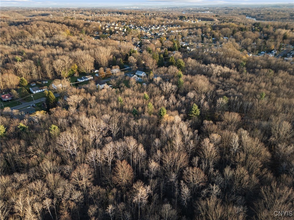 8173 60 Road Lysander, NY 13027 - Photo 9 of 18