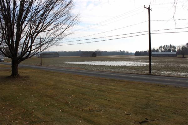 14 Comins Road Hadley, MA 01035 - Photo 10 of 30 Gallery Image 10