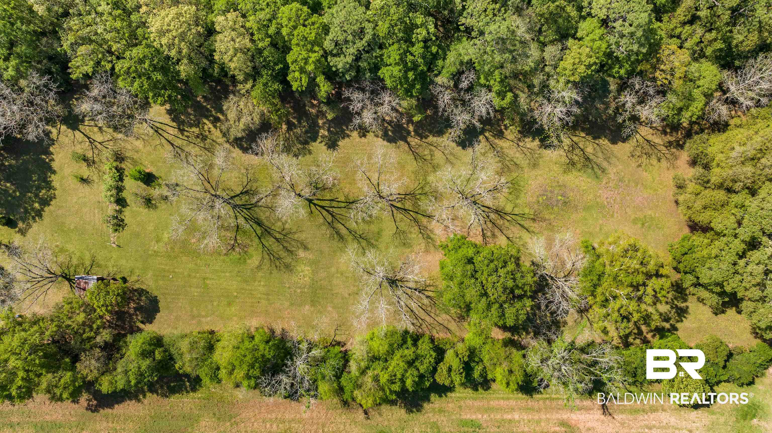 10407 LaLa Road Daphne, AL 36526 - Photo 47 of 47 Aerial