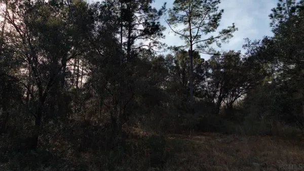 a view of outdoor space with lots of trees