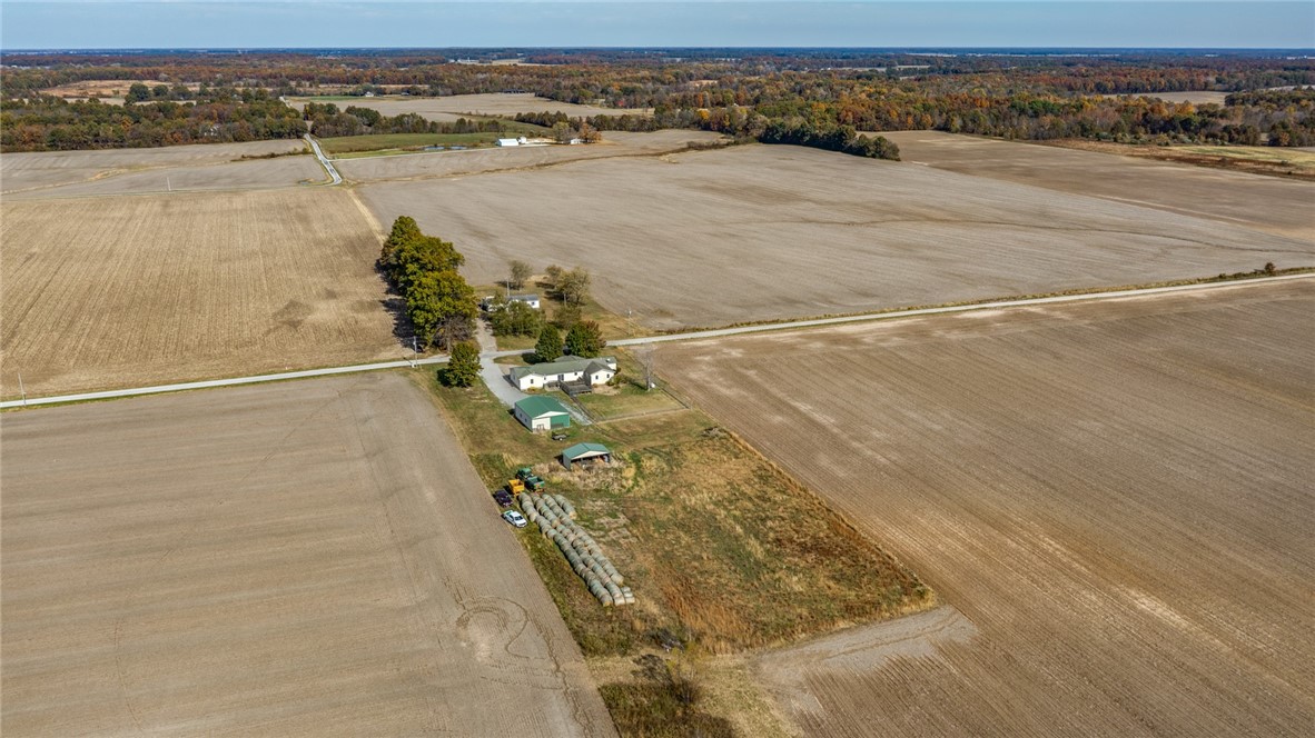 9118 Faye Road Kinmundy, IL 62854 - Photo 42 of 48 Looking NE