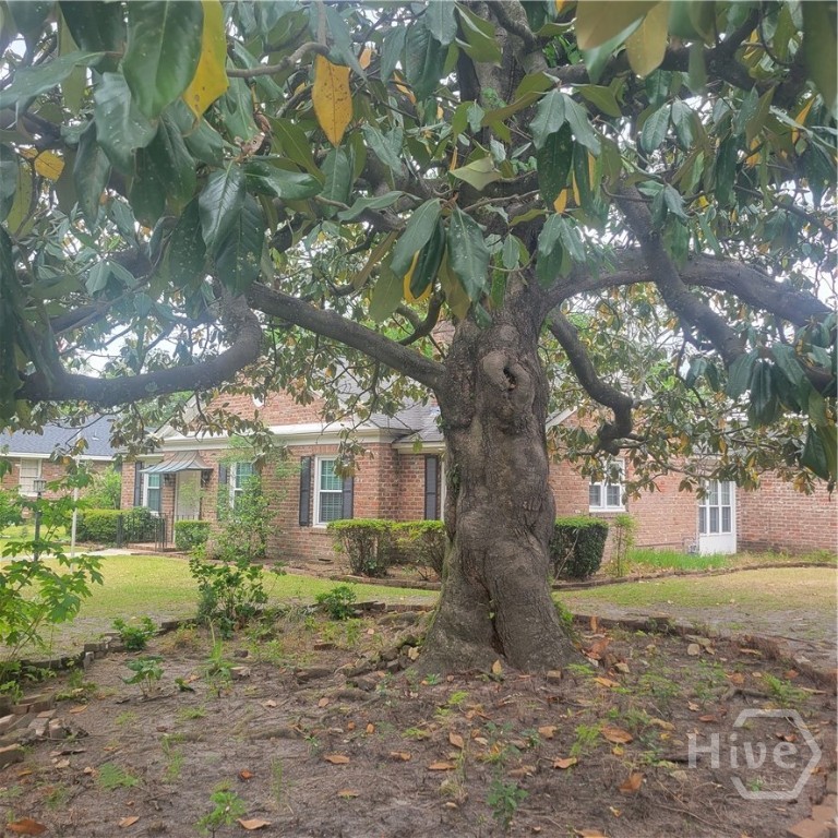 4620 Lansdowne Street Savannah, GA 31405 - Photo 35 of 35 Right Corner of Home Underneath the Magnolia