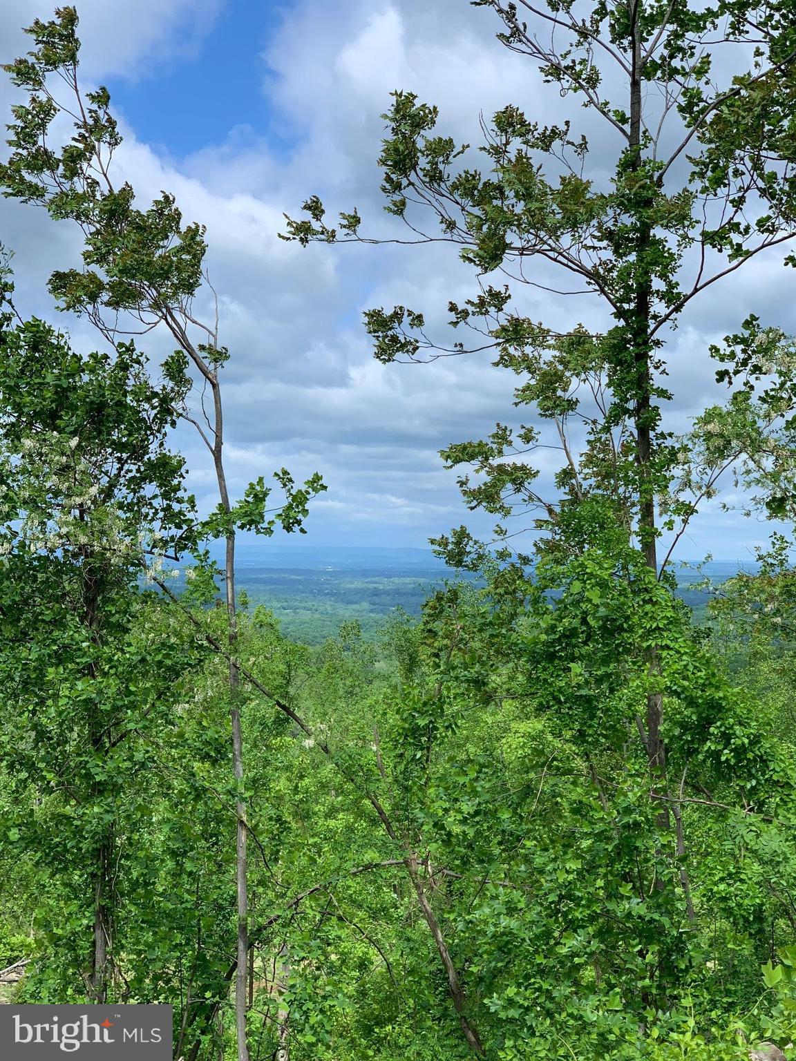 Morgans Mill Road Bluemont, VA 20135 - Photo 2 of 3