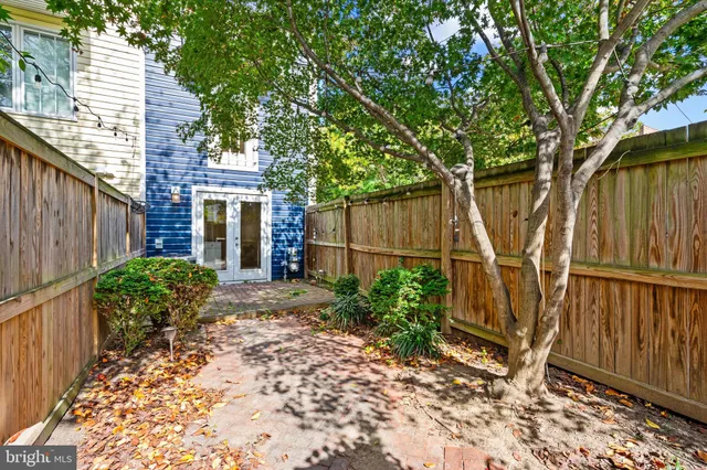 a backyard of a house with plants and tree