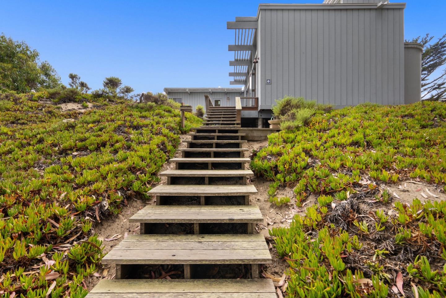 34 Sanderling Circle Watsonville, CA 95076 - Photo 45 of 56 a view of a yard with plants and wooden fence