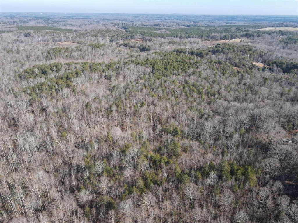 Goucher Green Gaffney, SC 29340 - Photo 10 of 15