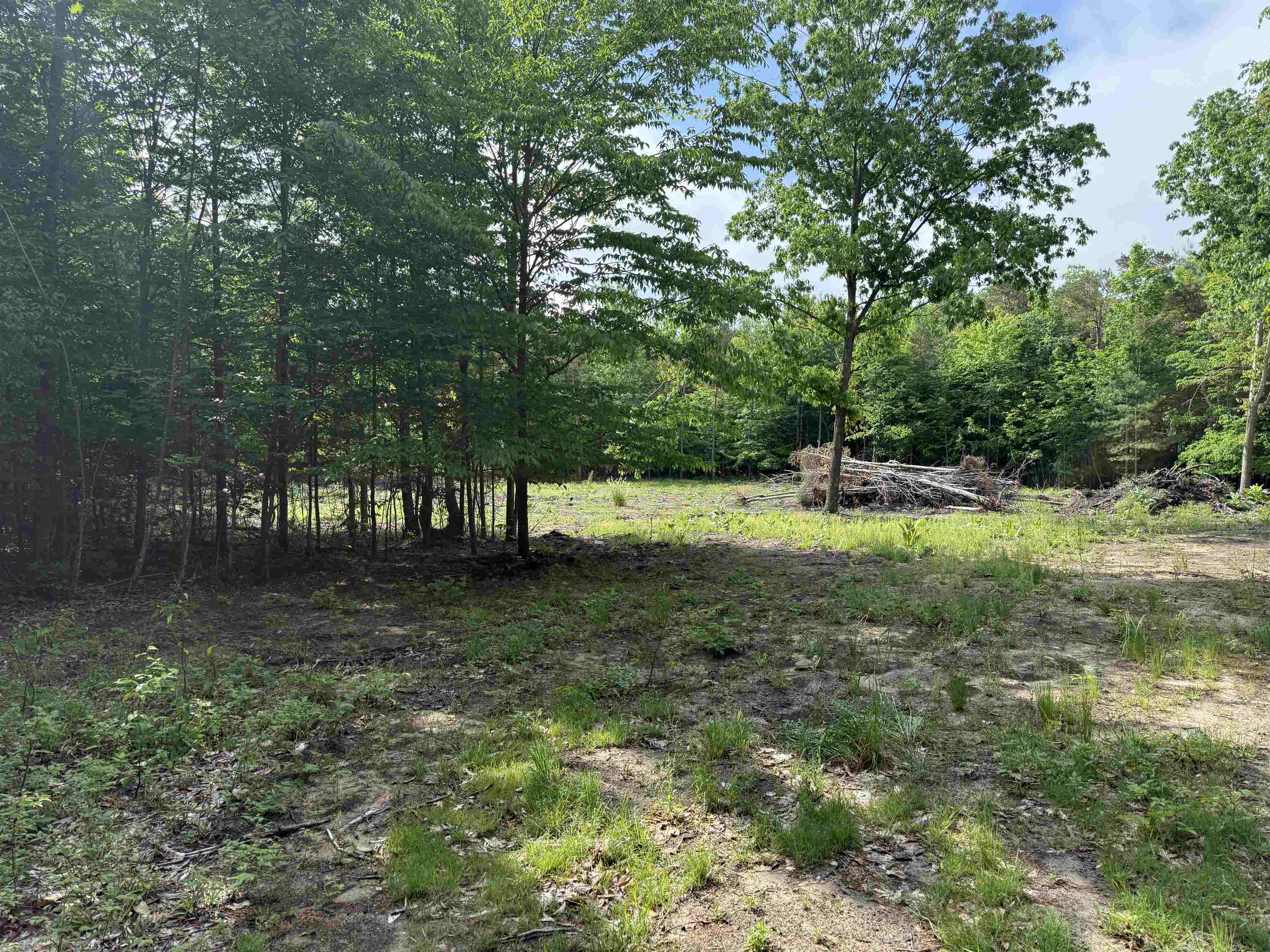 19493 Paradise Ridge Trail Cedar, MI 49684 - Photo 14 of 19