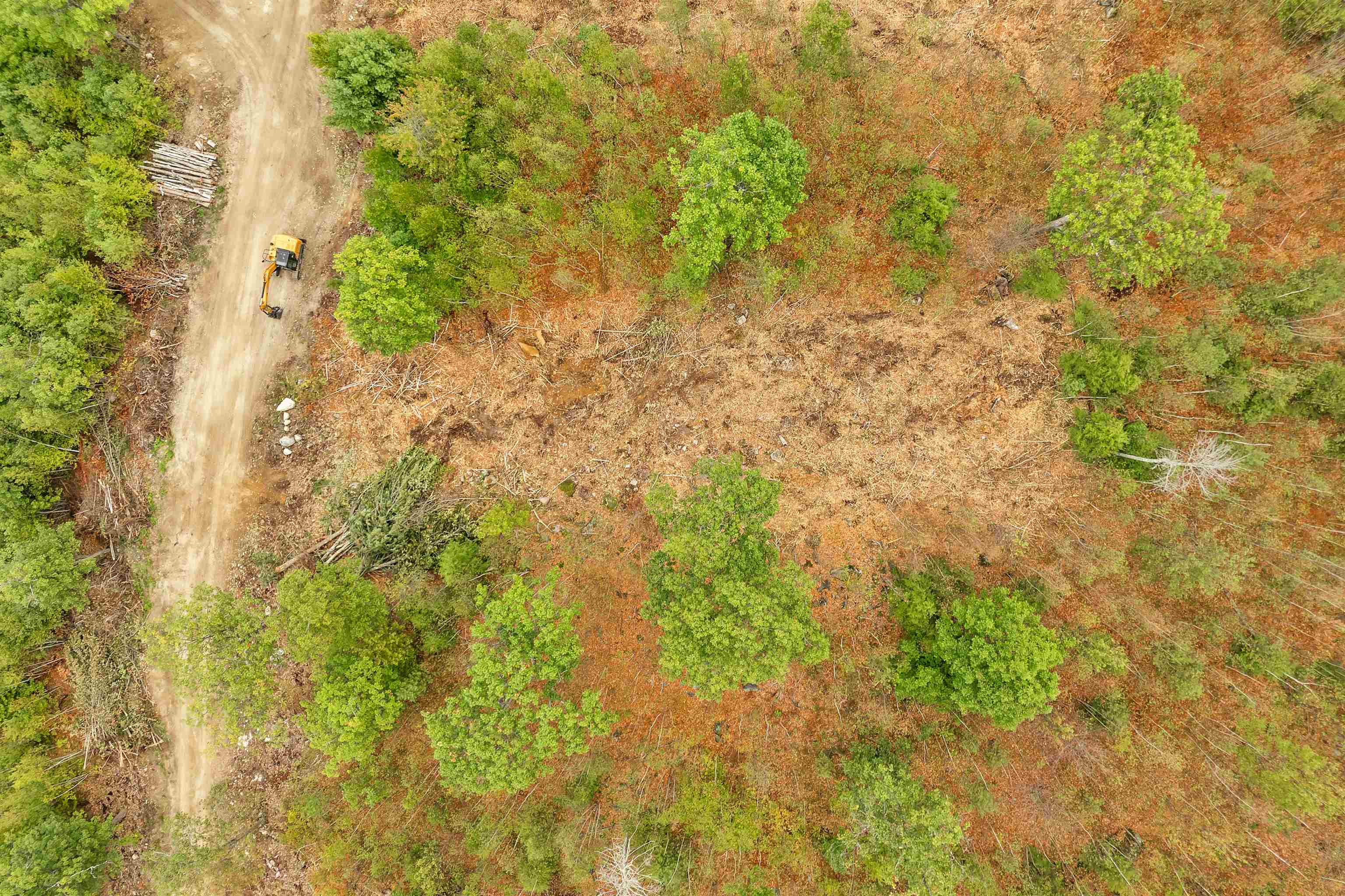 0 Long Stack Lane, Unit 37 Wolfeboro, NH 03894 - Photo 11 of 16