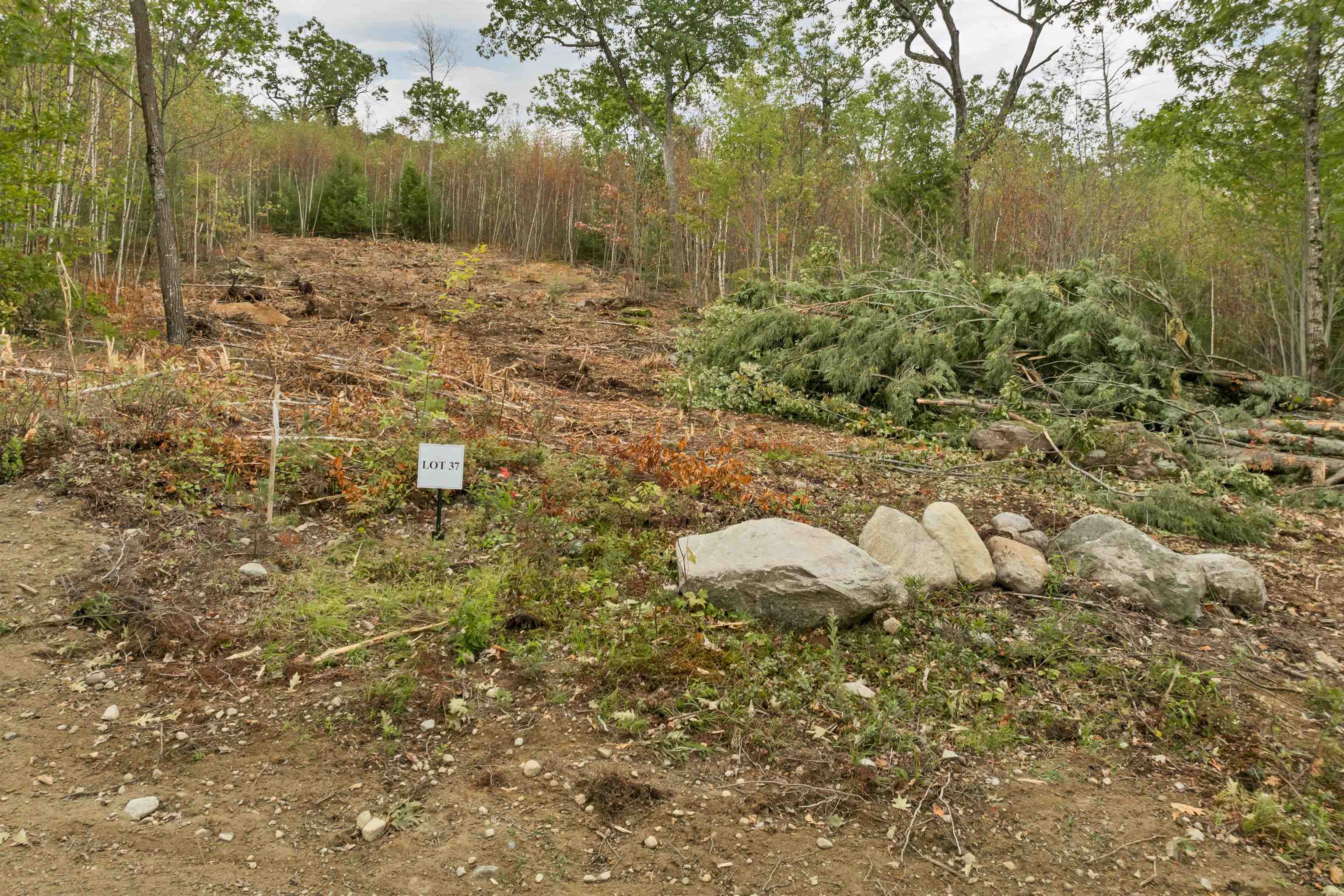 0 Long Stack Lane, Unit 37 Wolfeboro, NH 03894 - Photo 5 of 16