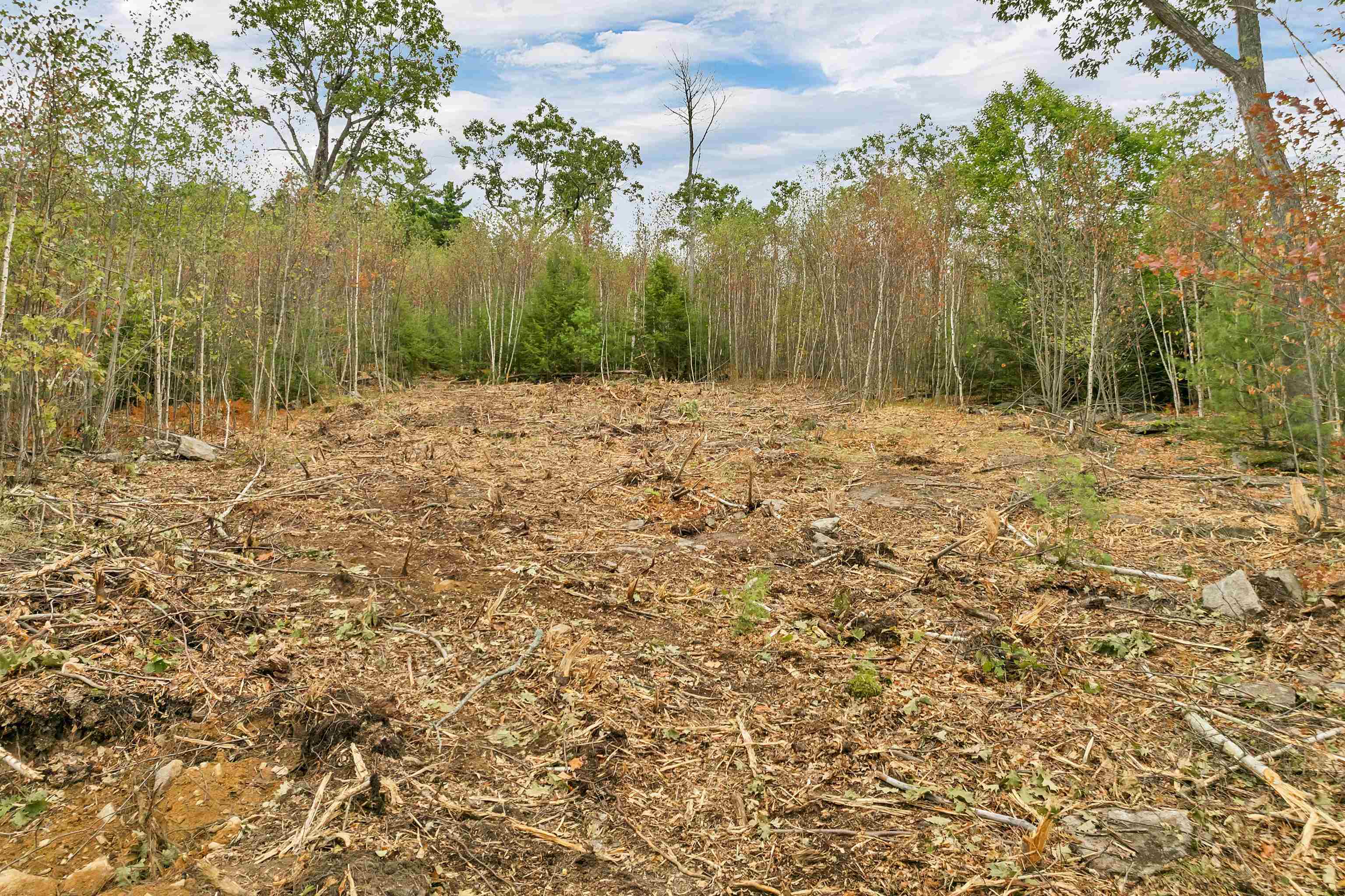 0 Long Stack Lane, Unit 37 Wolfeboro, NH 03894 - Photo 6 of 16