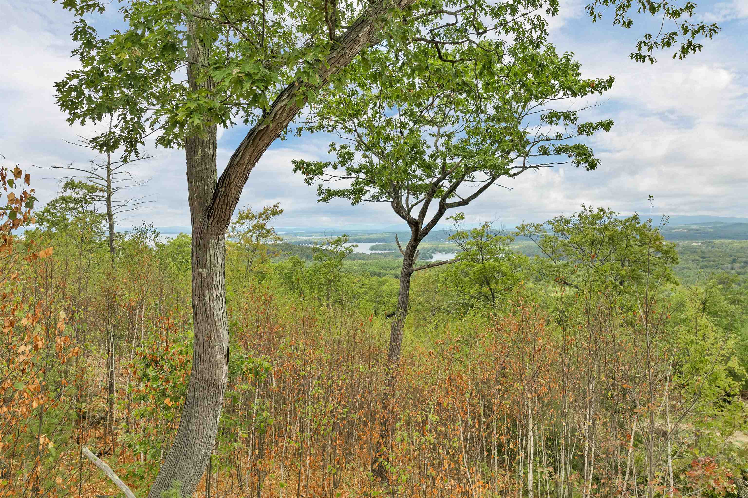 0 Long Stack Lane, Unit 37 Wolfeboro, NH 03894 - Photo 10 of 16