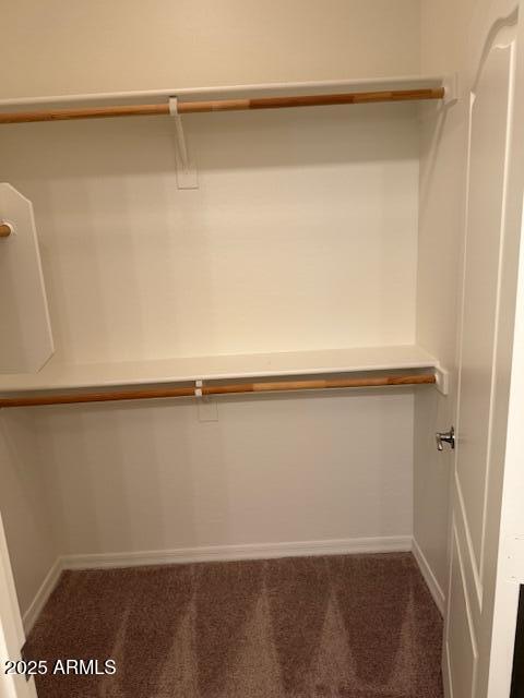 7726 East Baseline Road, Unit 171 Mesa, AZ 85209 - Photo 8 of 29 Primary Closet