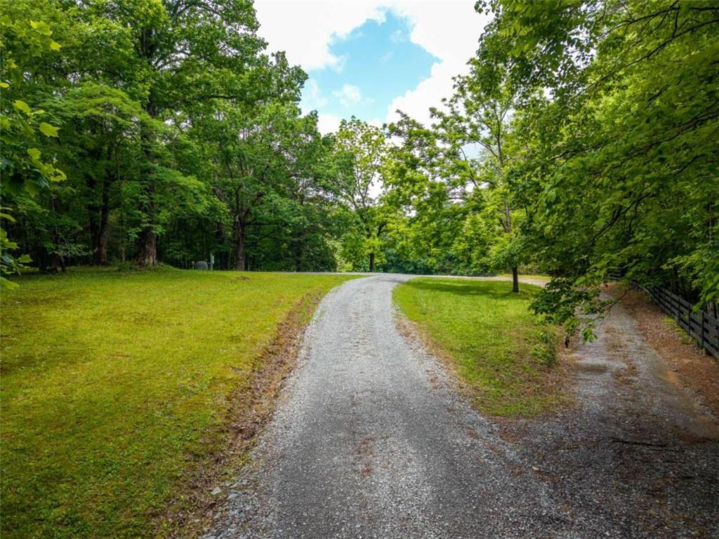 5664 Mobile Road Blue Ridge, GA 30513 - Photo 50 of 66