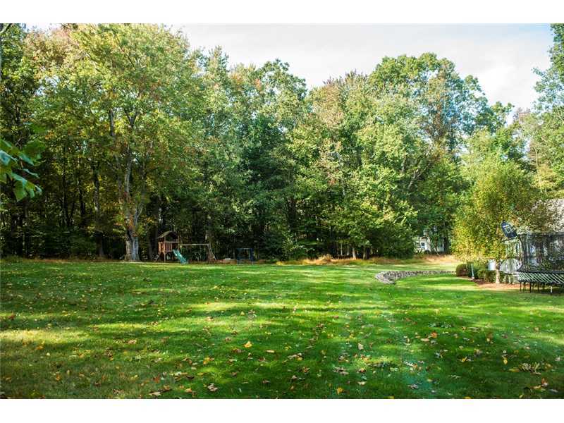 540 Cheese Spring Road New Canaan, CT 06840 - Photo 24 of 25 a grassy field with a tree in the background
