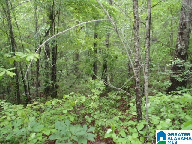 0 Shocco Springs Road, Unit 40 5 AC Talladega, AL 35160 - Photo 30 of 30