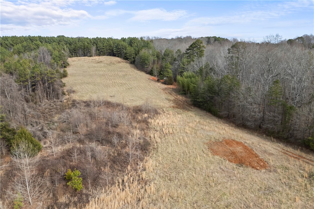 28-acres Water Works Road Walhalla, SC 29691 - Photo 3 of 10