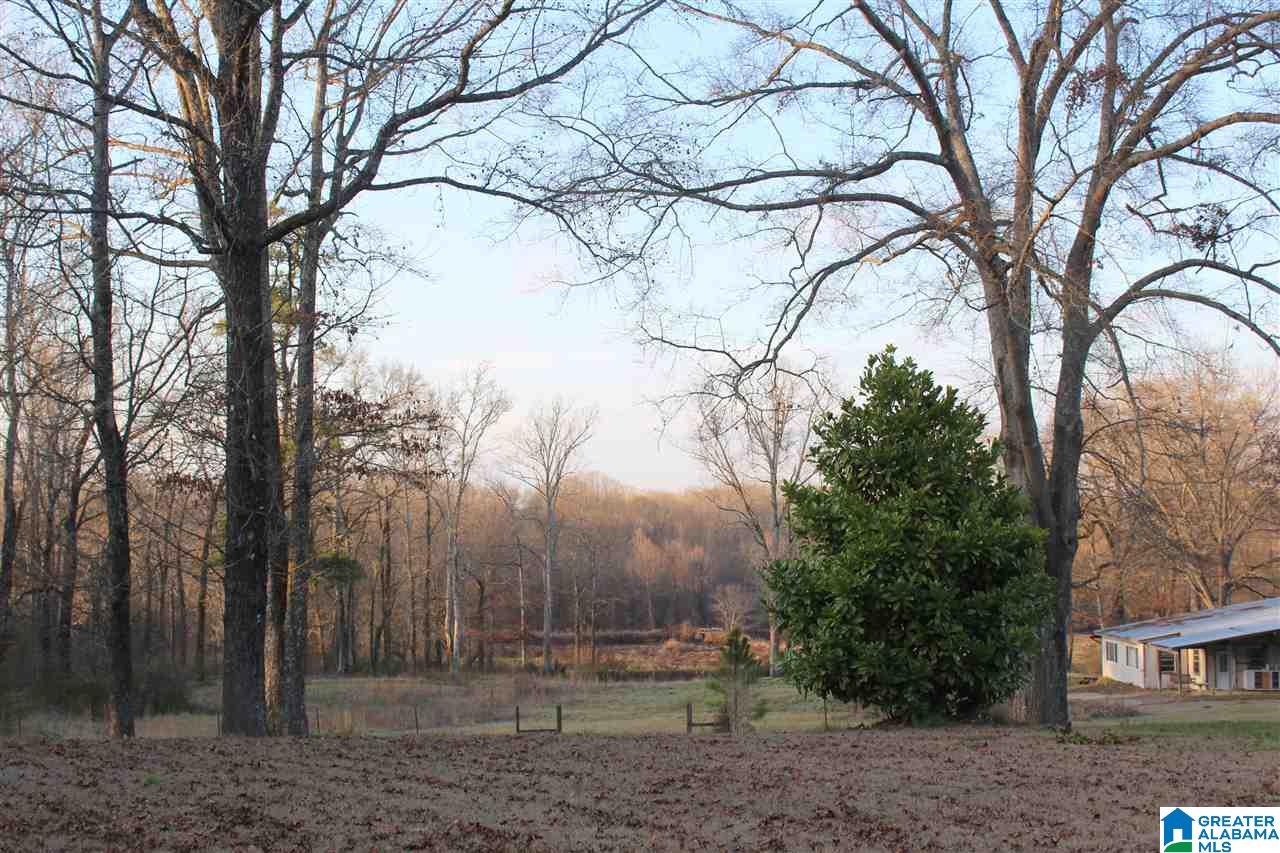 4935 Spring Creek Road Montevallo, AL 35115 - Photo 36 of 36