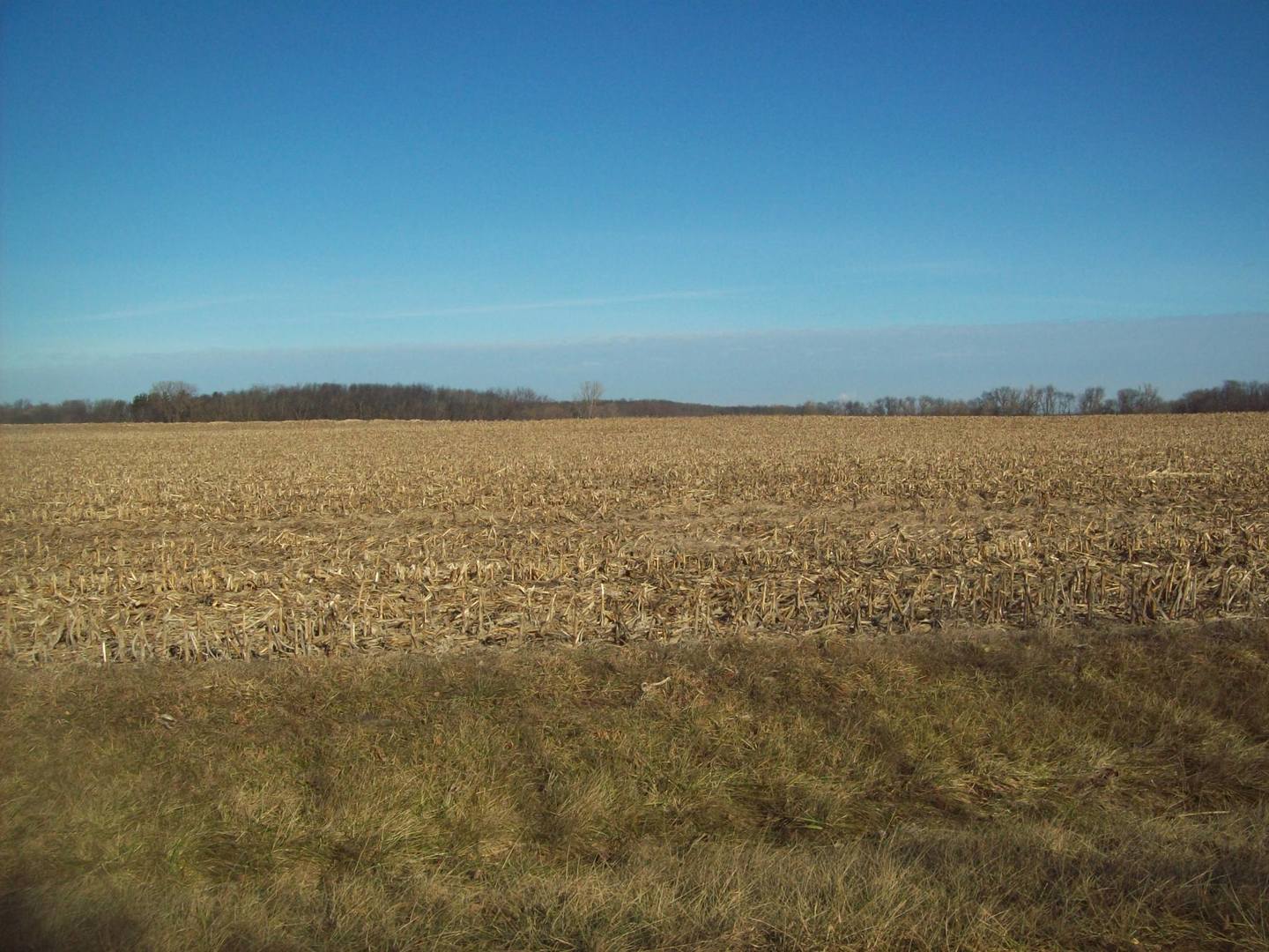 960 Maytown Road Amboy, IL 61310 - Photo 3 of 4