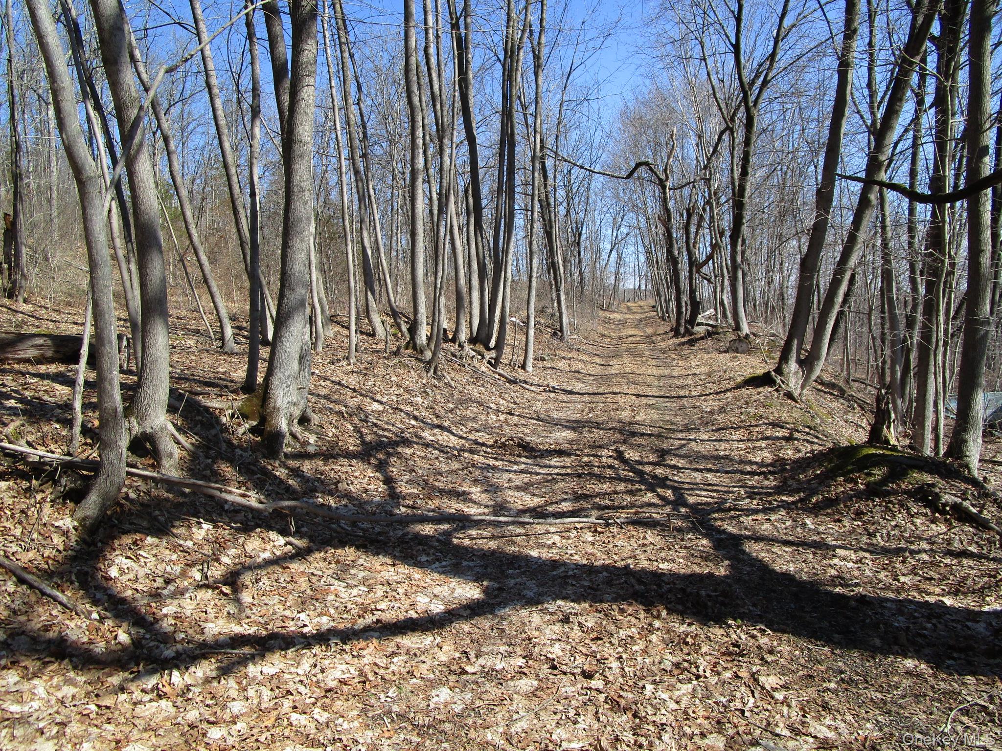 12 Co Rt New Hampton, NY 10958 - Photo 2 of 9 a view of a backyard of the house