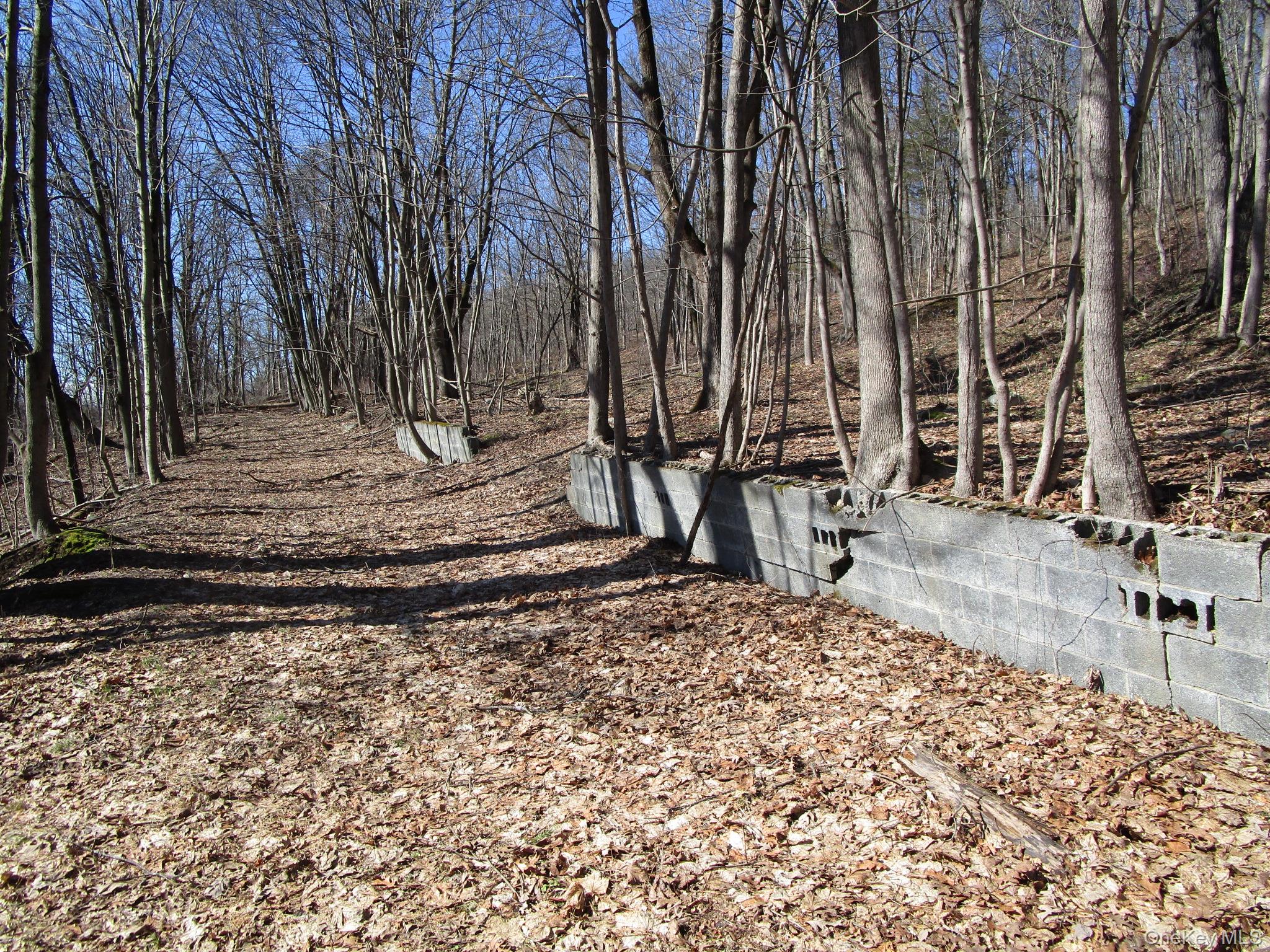 12 Co Rt New Hampton, NY 10958 - Photo 3 of 9 a view of a backyard with large trees