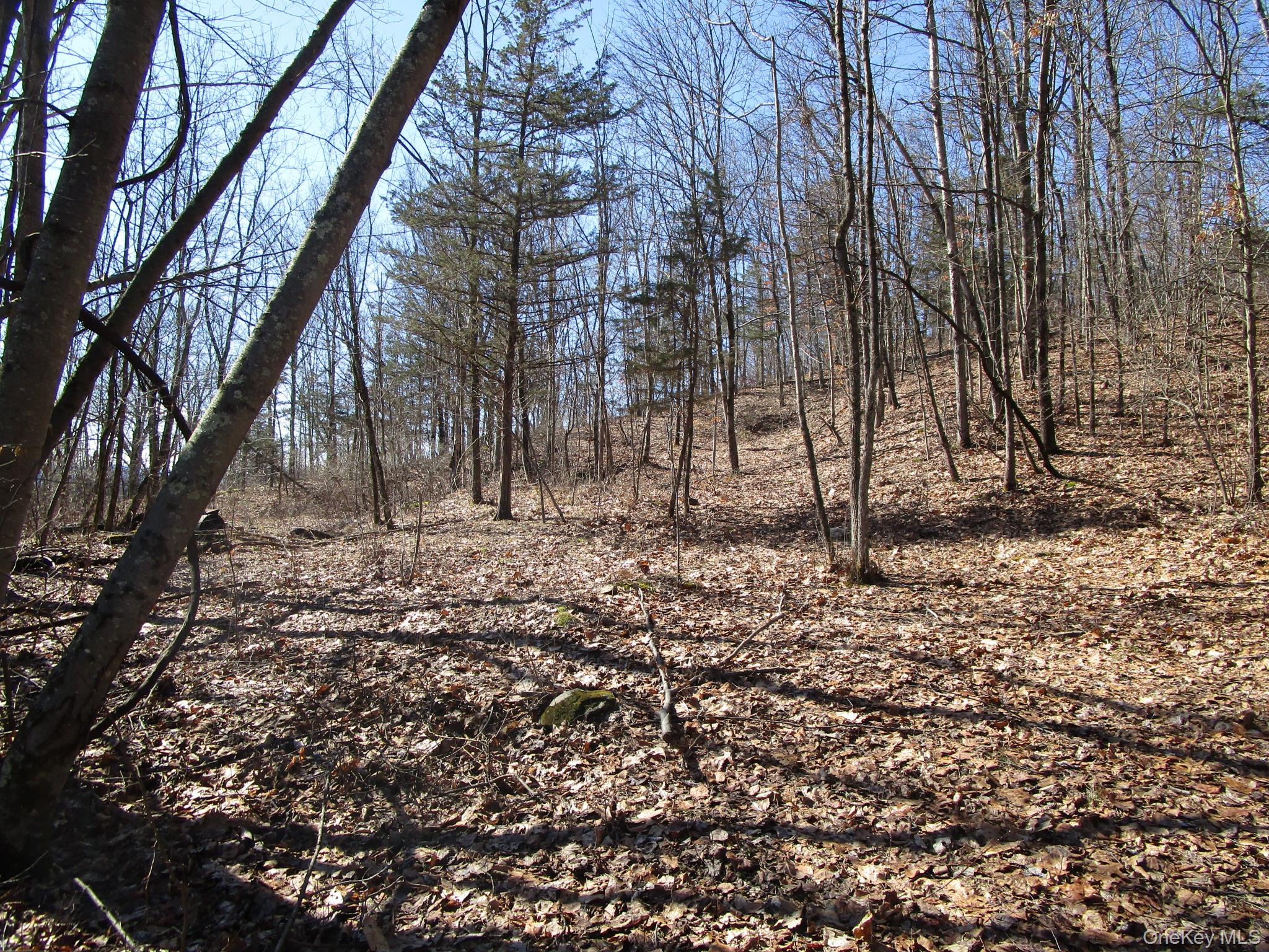 12 Co Rt New Hampton, NY 10958 - Photo 4 of 9 a backyard of a house with lots of green space