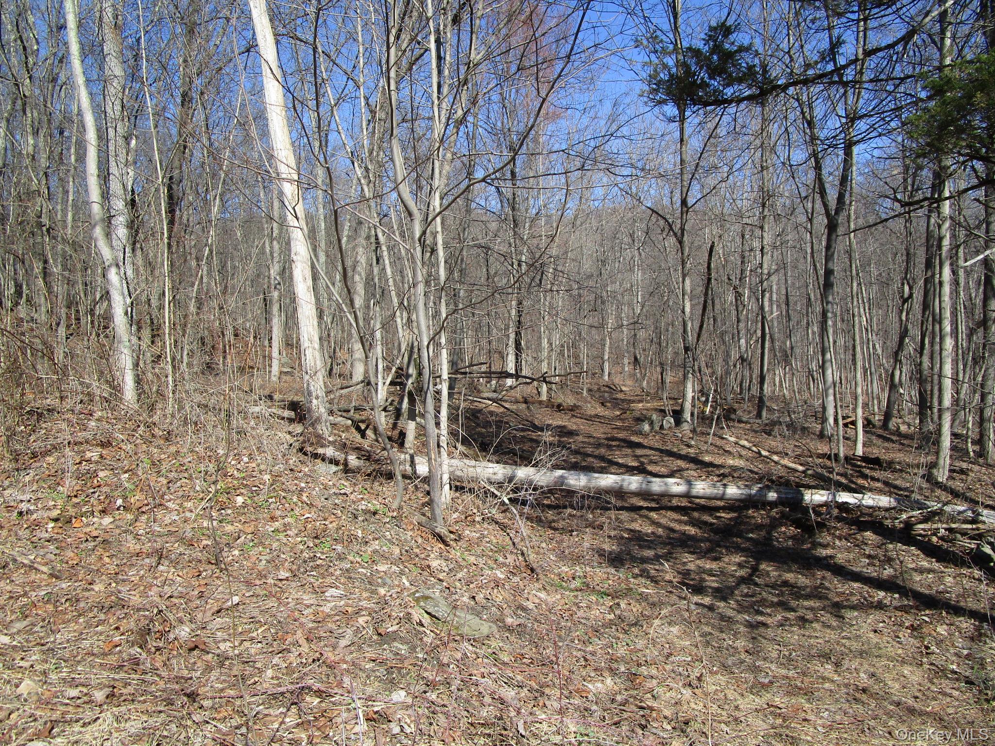 12 Co Rt New Hampton, NY 10958 - Photo 5 of 9 a view of a house with a yard