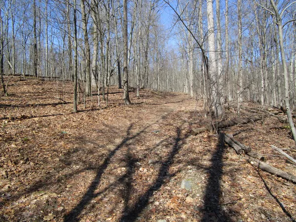 a view of a backyard with large trees