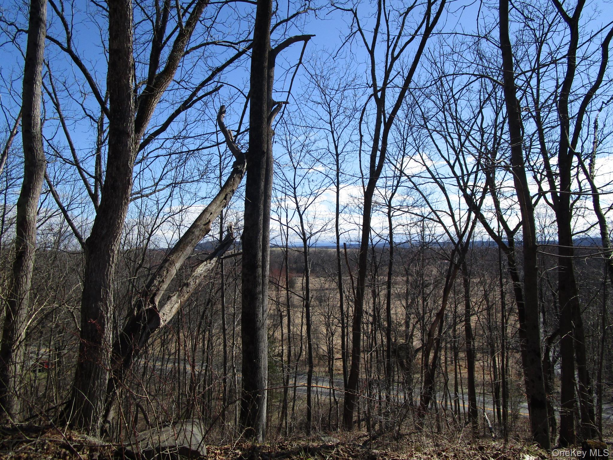 12 Co Rt New Hampton, NY 10958 - Photo 7 of 9 a view of outdoor space with street view