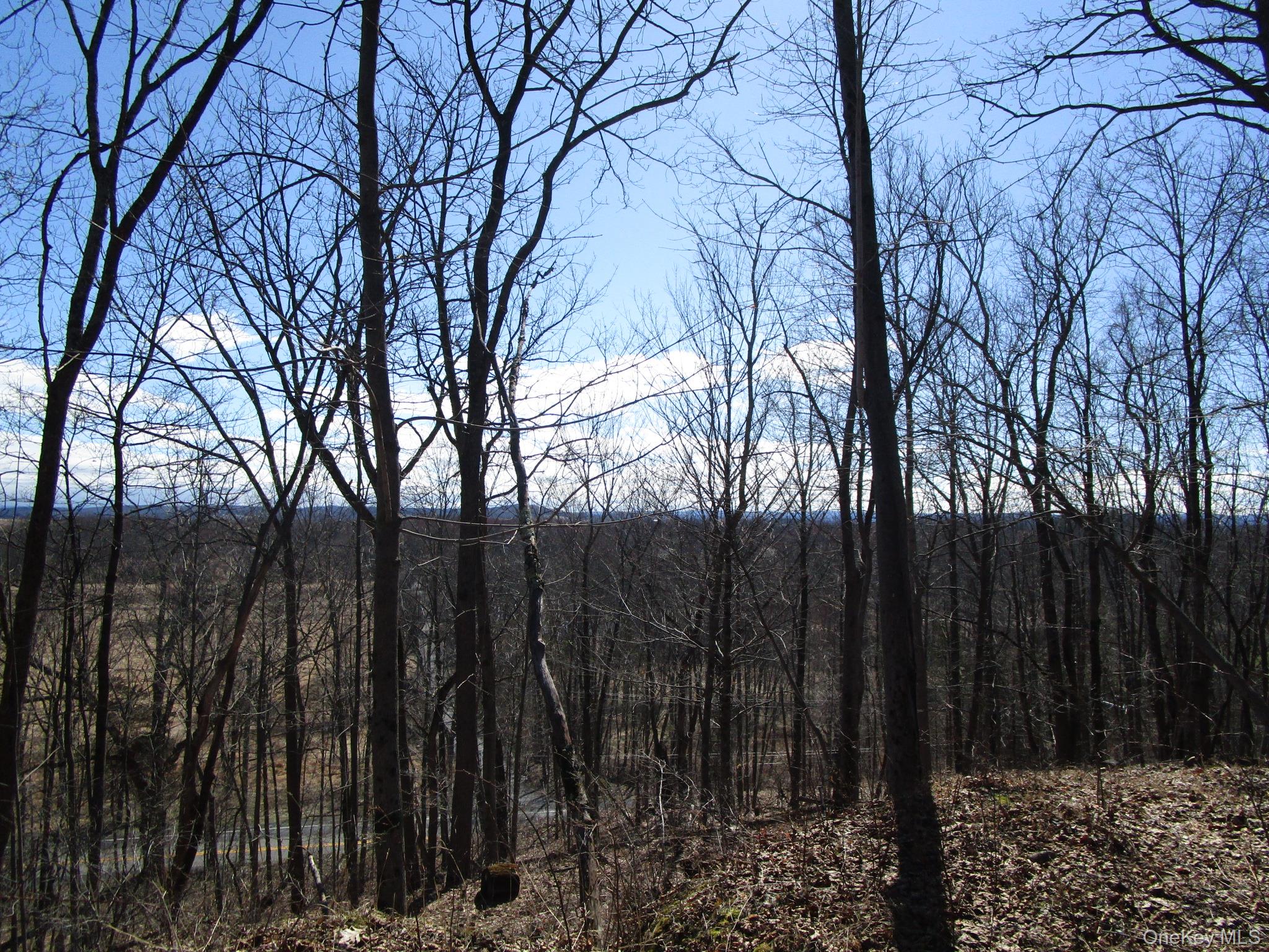 12 Co Rt New Hampton, NY 10958 - Photo 8 of 9 a view of outdoor space and yard